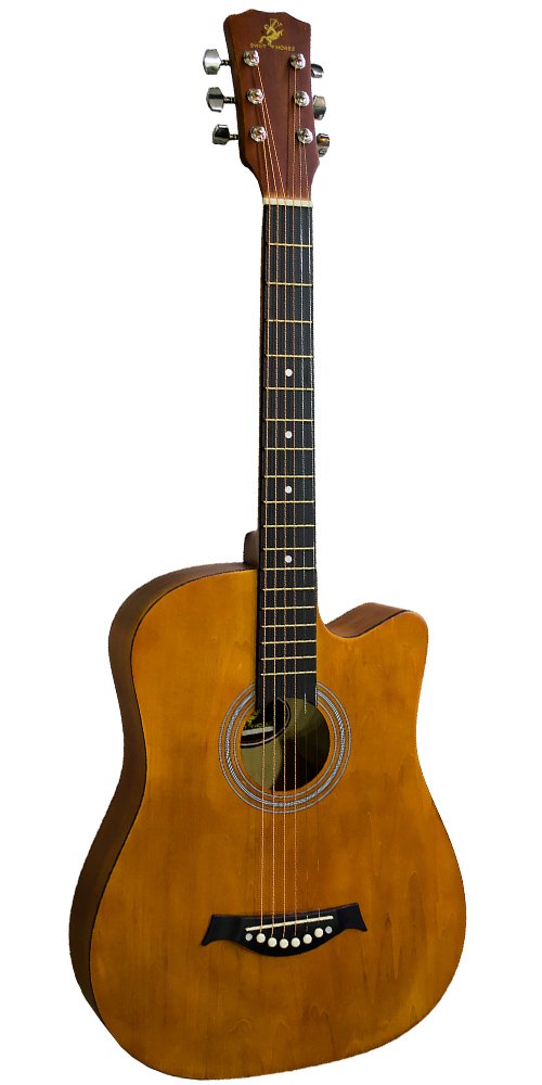 Swift Horse 38M Maple Acoustic Guitar