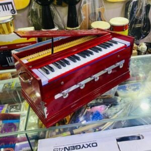 Pakistani Harmonium For Beginners