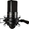 MXL_770_Microphone_c MXL 770 Cardioid Condenser Microphone